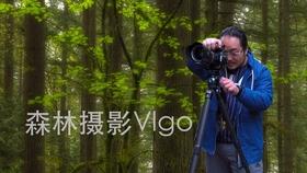 森迪公主夏日度假